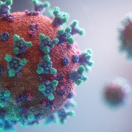 digital agency tips during coronavirus crisis